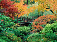 Japanese Gardens